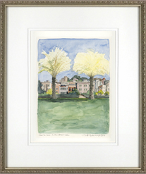 Cow Hollow, San Francisco frame