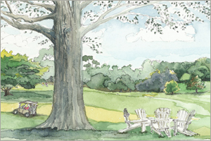 The Great Lawn print by MEMullin