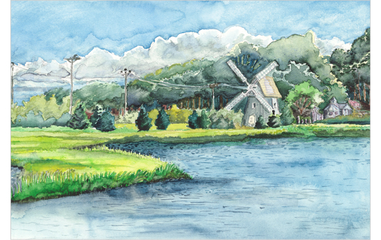 Salt Marsh