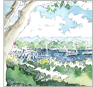Cape Cod Gallery